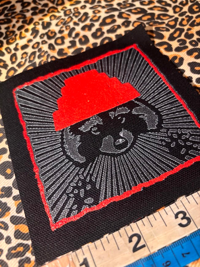 Are We not Trashy? Raccoon with a Devo hat patch