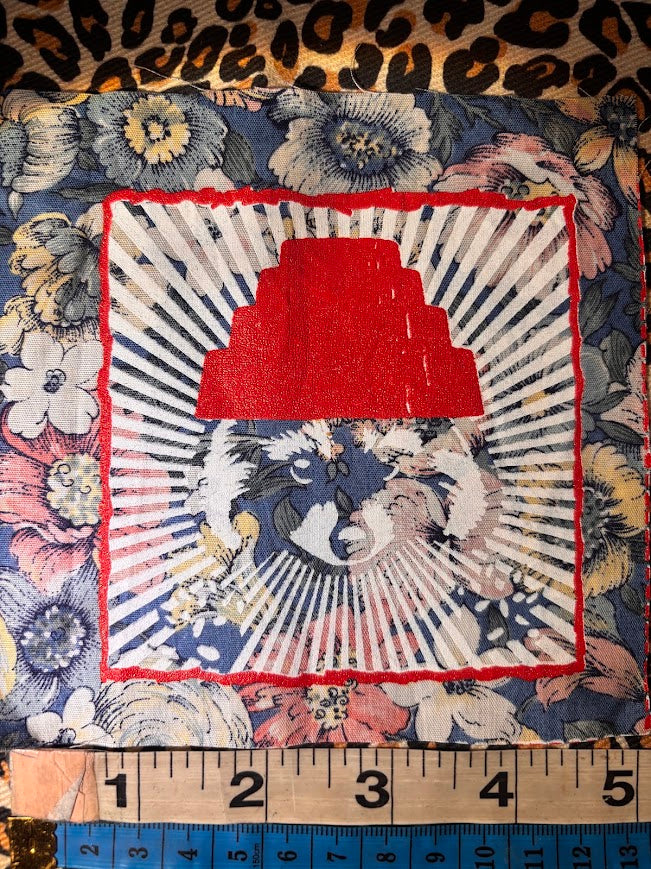 Are We not Trashy? Raccoon with a Devo hat patch