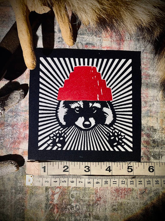 Are We not Trashy? Raccoon with a Devo hat patch