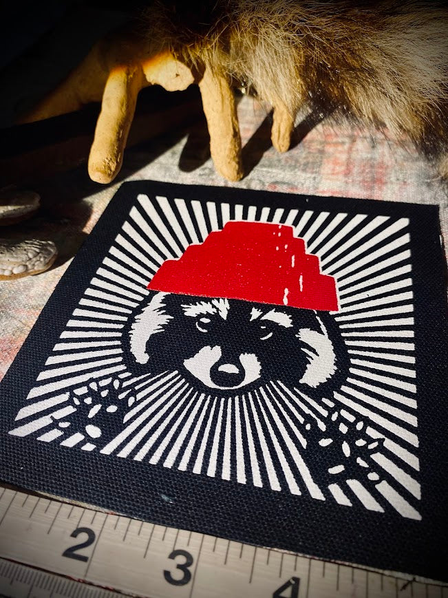 Are We not Trashy? Raccoon with a Devo hat patch