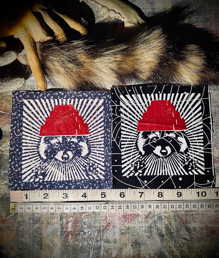 Are We not Trashy? Raccoon with a Devo hat patch