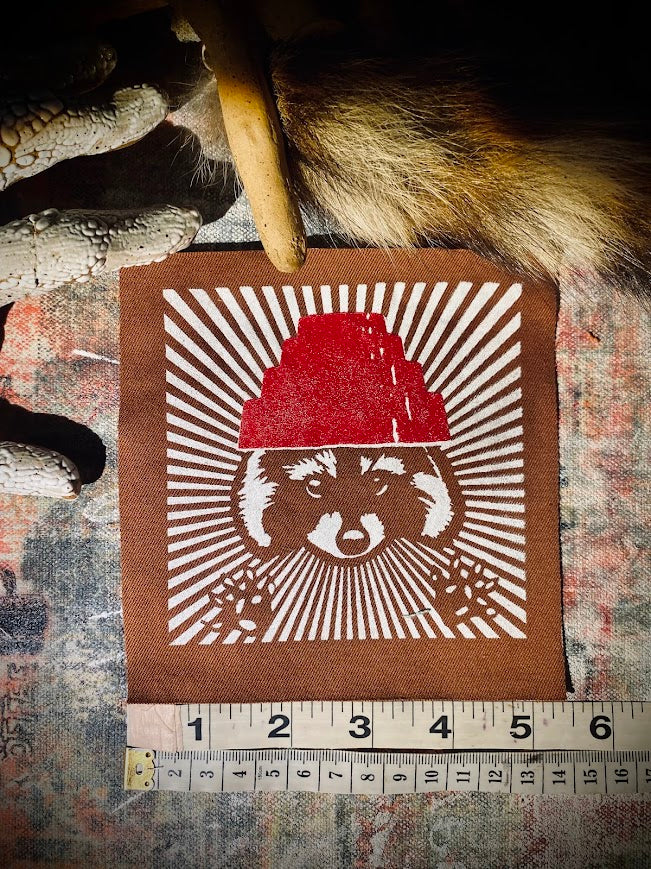 Are We not Trashy? Raccoon with a Devo hat patch