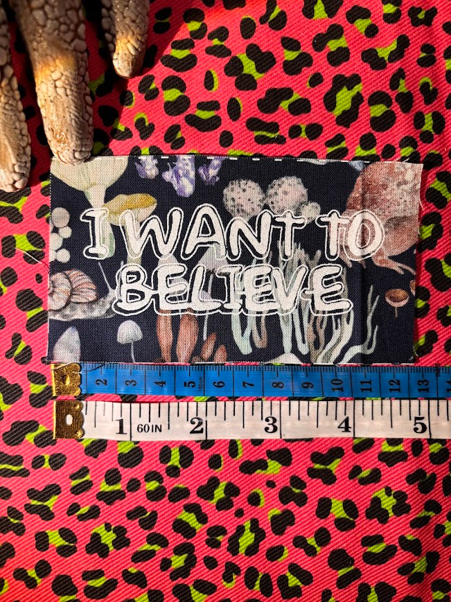 I want to believe Springfield font sew on patch